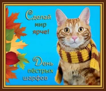 День длинных пестрых шарфов 29 октября картинки