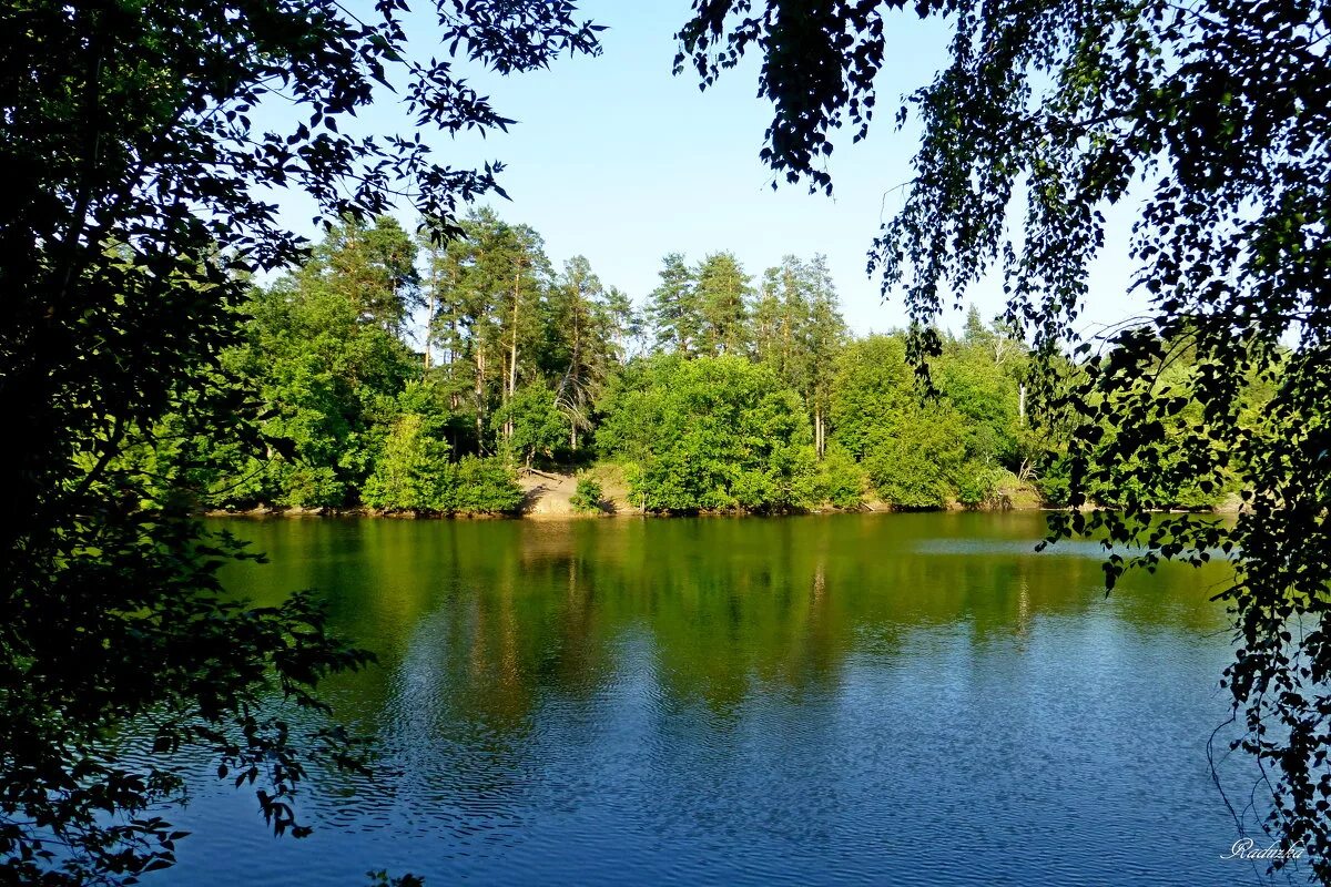Парк Малаховское озеро. Малаховка озеро. Лесное озеро Самара. Лесное озеро Тольятти. Озеро возле леса