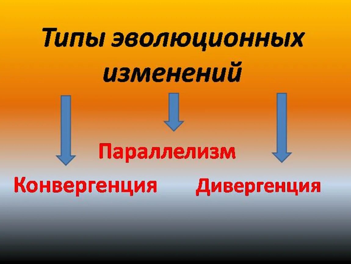 Формы эволюционных изменений. Типы эволюционных изменений. Главные типы эволюционных изменений. Типы эволюционных изменений схема. Таблица типы эволюционных измен.