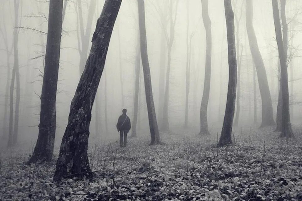 Темный силуэт в лесу. Мрачный лес. Одиночество в лесу. Грустный стоит лес. Парень в лесу.