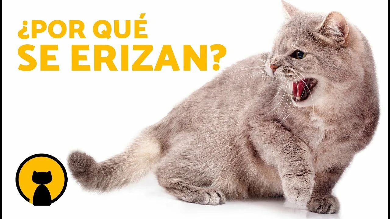 Cat sed