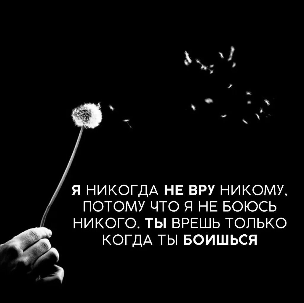 Никогда никого не бойся. Цитаты никого не боюсь. Я никого не боюсь цитаты. Я никогда не ВРУ потому что я никого не боюсь. Я никогда не ВРУ никому потому что.