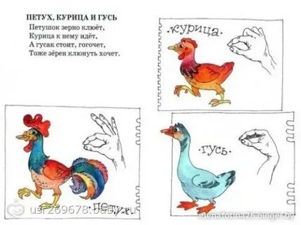 Пальчиковая гимнастика домашние птицы