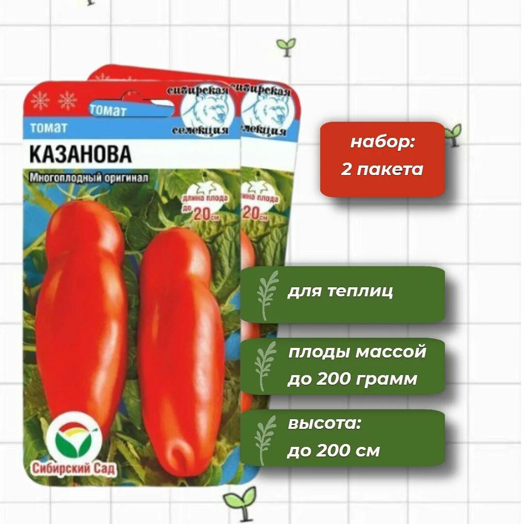 Сорт томатов казанова. Томат казанова сибирский сад. Томаты казанова отзывы фото урожайность. Помидор казанова фото и описание. Сорт помидор казанова.