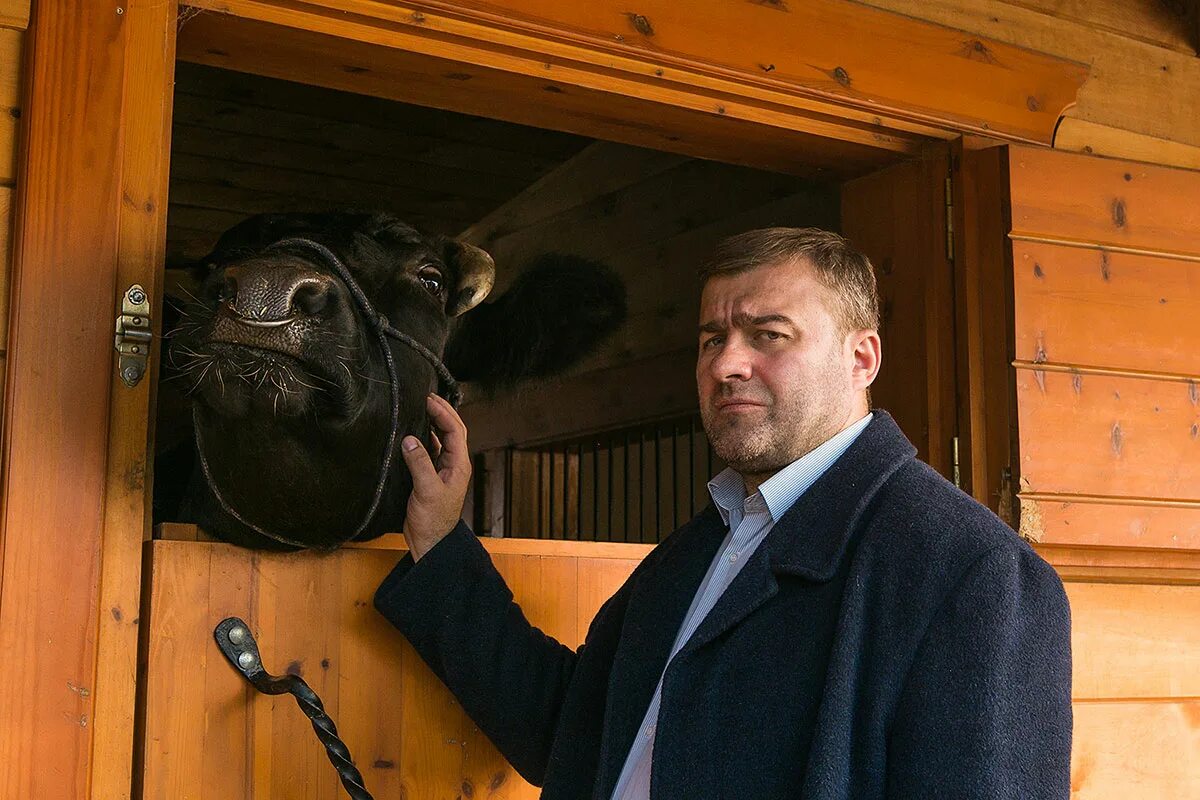 1 1 пореченков. 1 1 пореченков