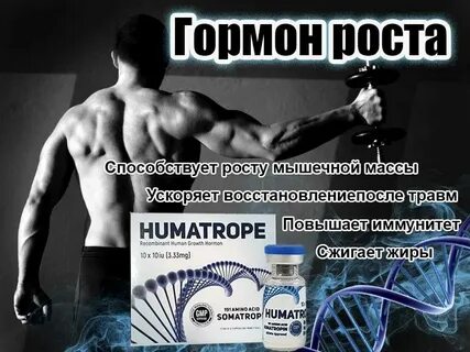Цитадель мышечной массы