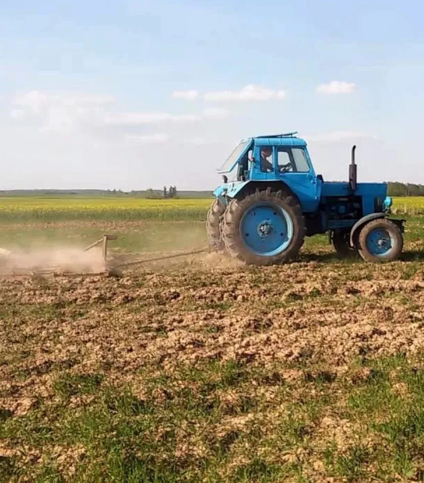 Трактор Украина. Суджанский тракторный завод. Суджанский район подорвался трактор. Продажи тракторов 2023