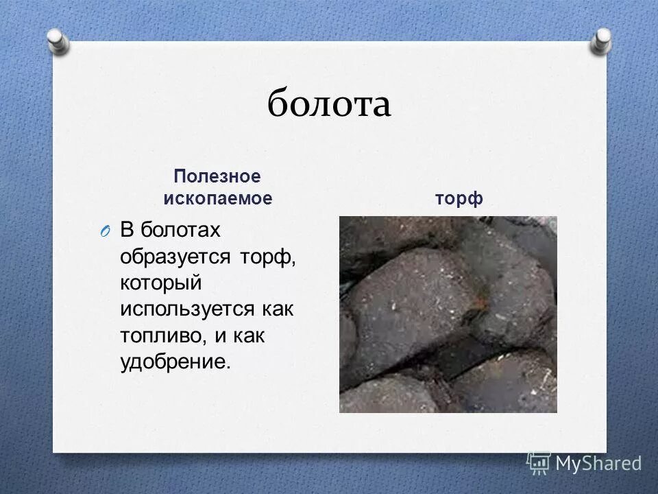 торф полезное ископаемое. какое полезное ископаемое образуется в болотах. торф образуется. минеральные ресурсы торф. какое полезное ископаемое образуется в болотах.