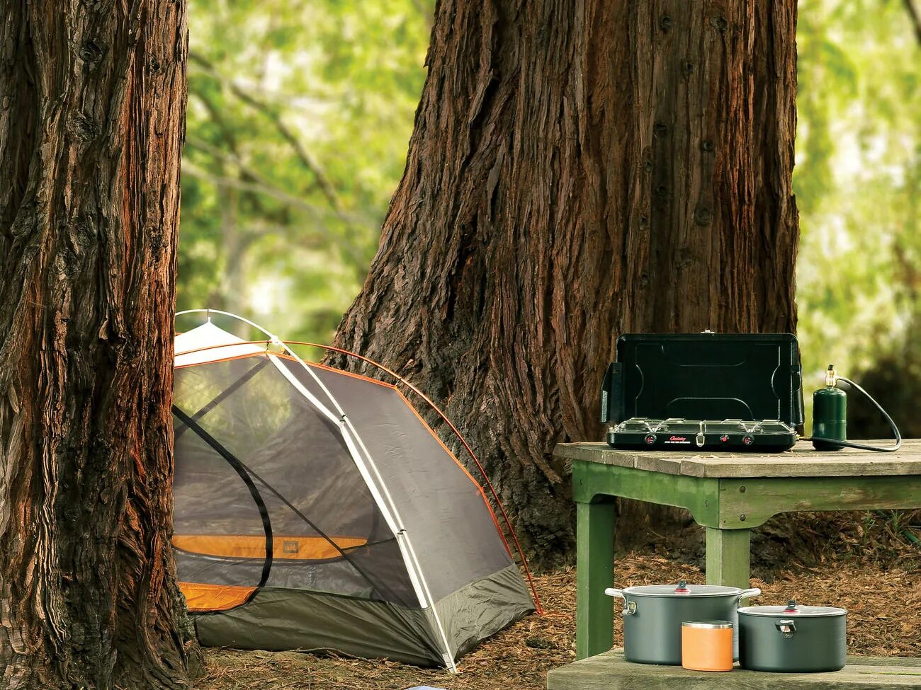 Camping is fun. Бушкрафт лагерь в лесу. Палатка field & Stream 1871. Целых 30 гаджетов для кемпинга.