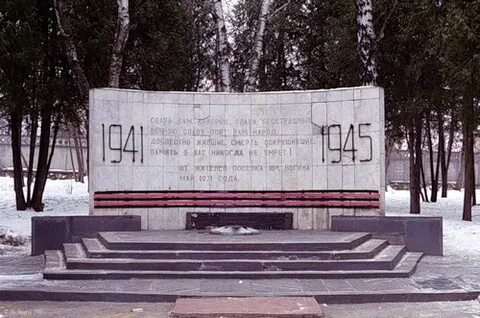 Серпухов ногина