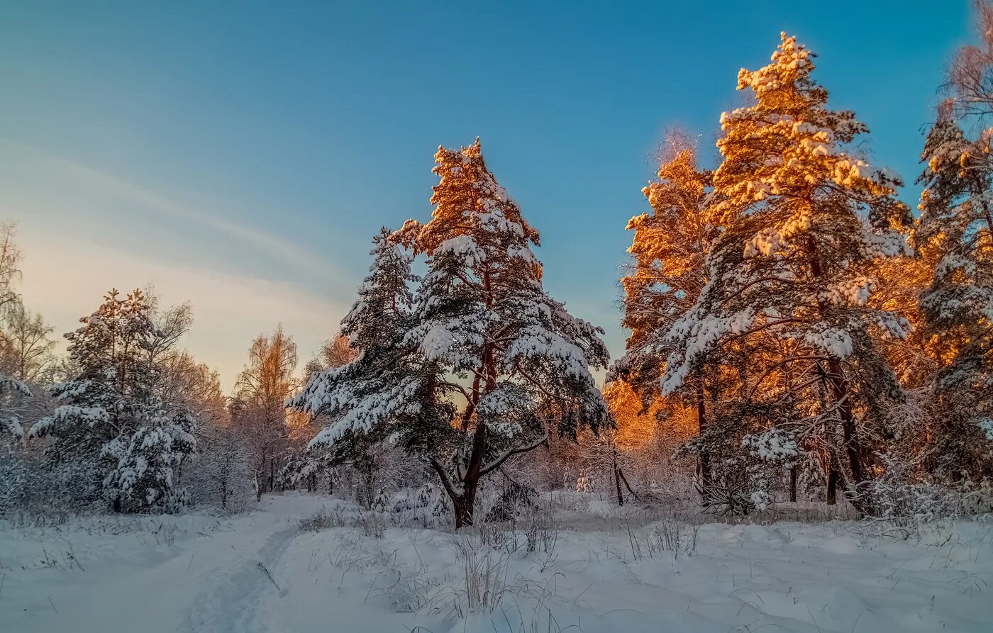 20 декабря солнце
