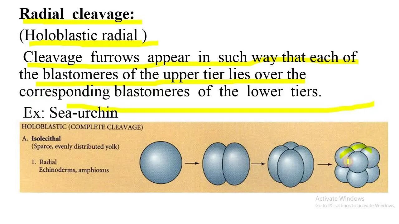 Types of occurred