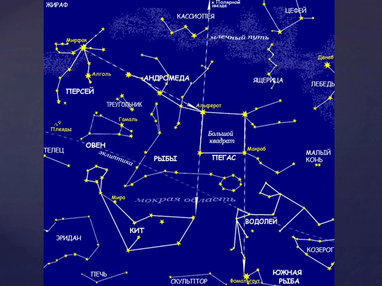 Созвездия. Звездное небо созвездия. Созвездия на небе и названия. Карта созвездий. Звездное небо какие созвездия