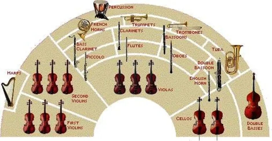 Рассадка симфонического оркестра схема. «Американская» рассадка музыкантов симфонического оркест. Рассадка музыкантов в симфоническом оркестре. Схема рассадки инструментов в симфоническом оркестре. Сколько основных групп оркестра