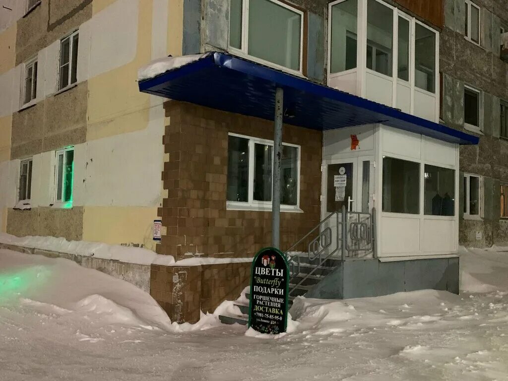 воркута цветы на дом. цветочные арт объекты. площадь деревья воркута. дончука 8а воркута. парковая 50 воркута.