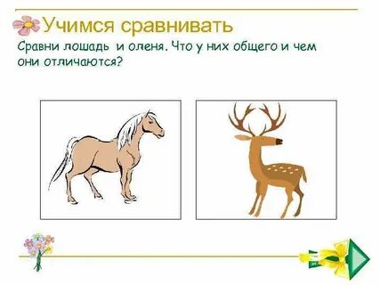 Учись сравнивать