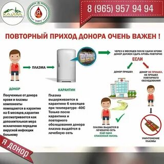 Сколько дают за сдачу плазмы
