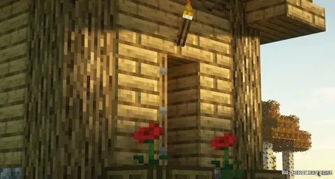 Animation minecraft 1.16 5