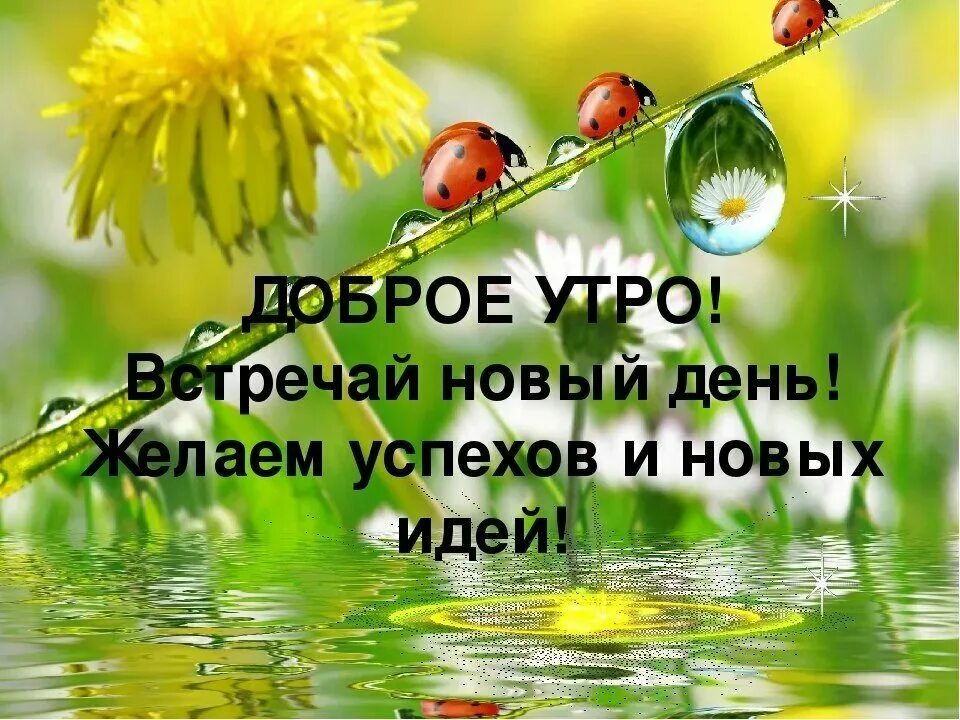 Доброе утро встречай новый день. Доброе утро с пожеланиями здоровья. Новых радостей в новом дне. Здравствуй, новый день!.