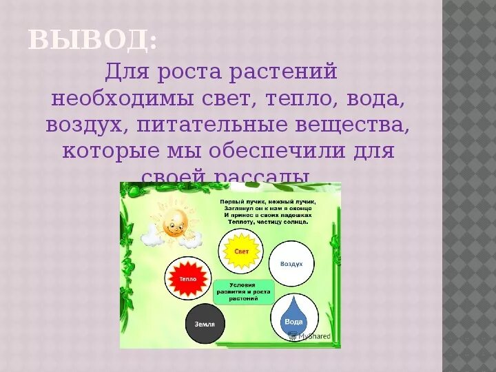 Необходимые условия для растений. Условия роста и развития растений. Что нужно для роста растений. Растению для роста необходимы. Рост растений для дошкольников.