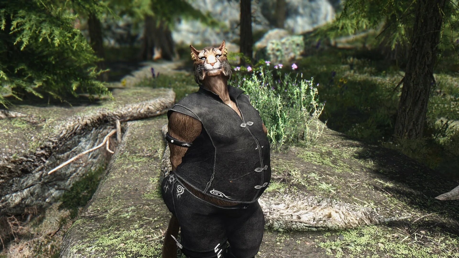 Skyrim моды довакин