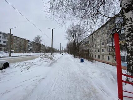 Продам березники
