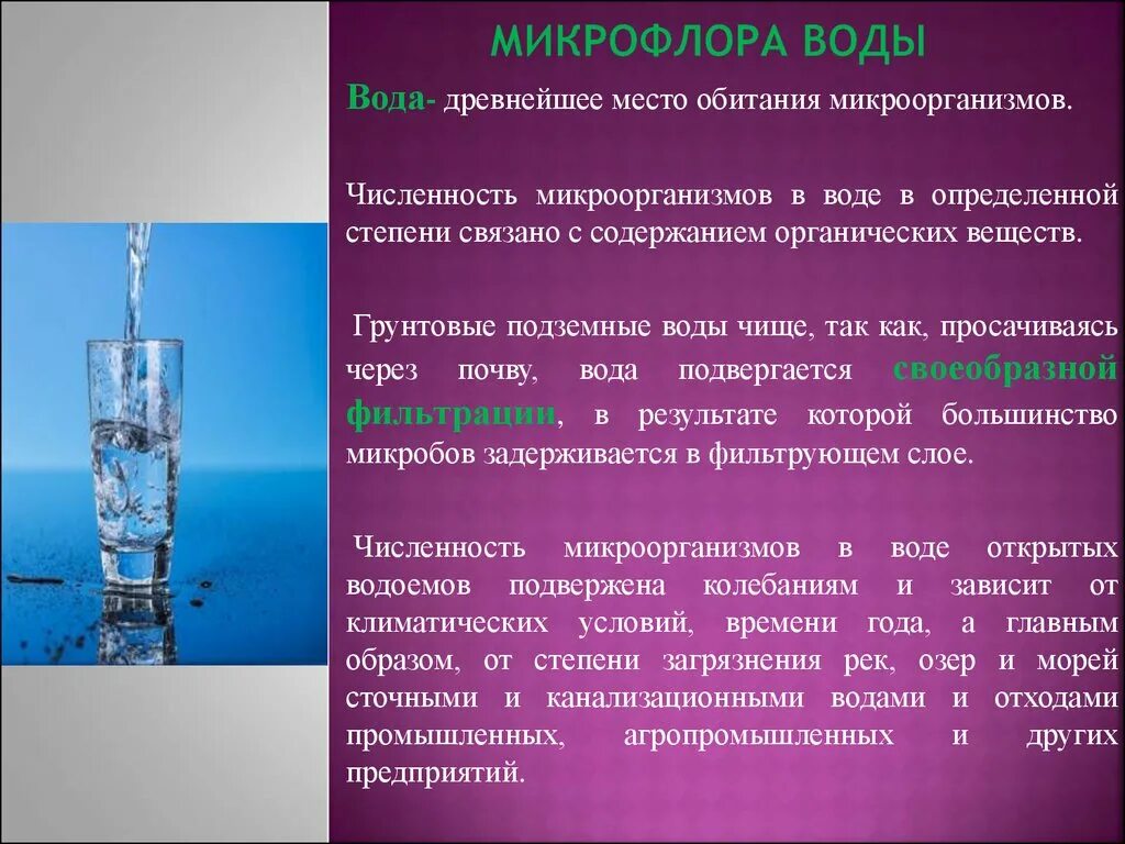 Микрофлора воды. Микрофлора питьевой воды. Охарактеризуйте микрофлору воды. Микроорганизмы в воде.