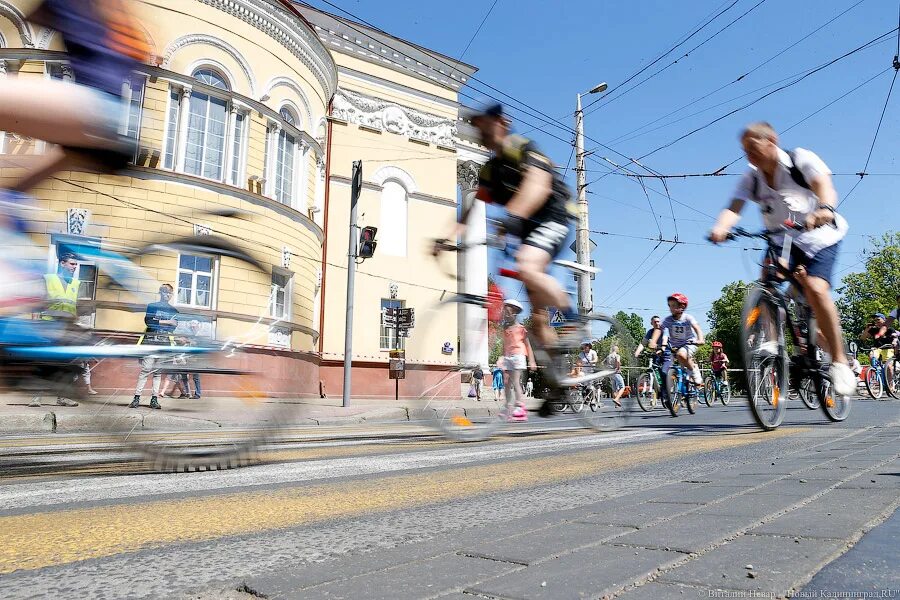 Почему в калининграде много. День колеса в Калининграде. Велосипед для троих. Живой велосипед.
