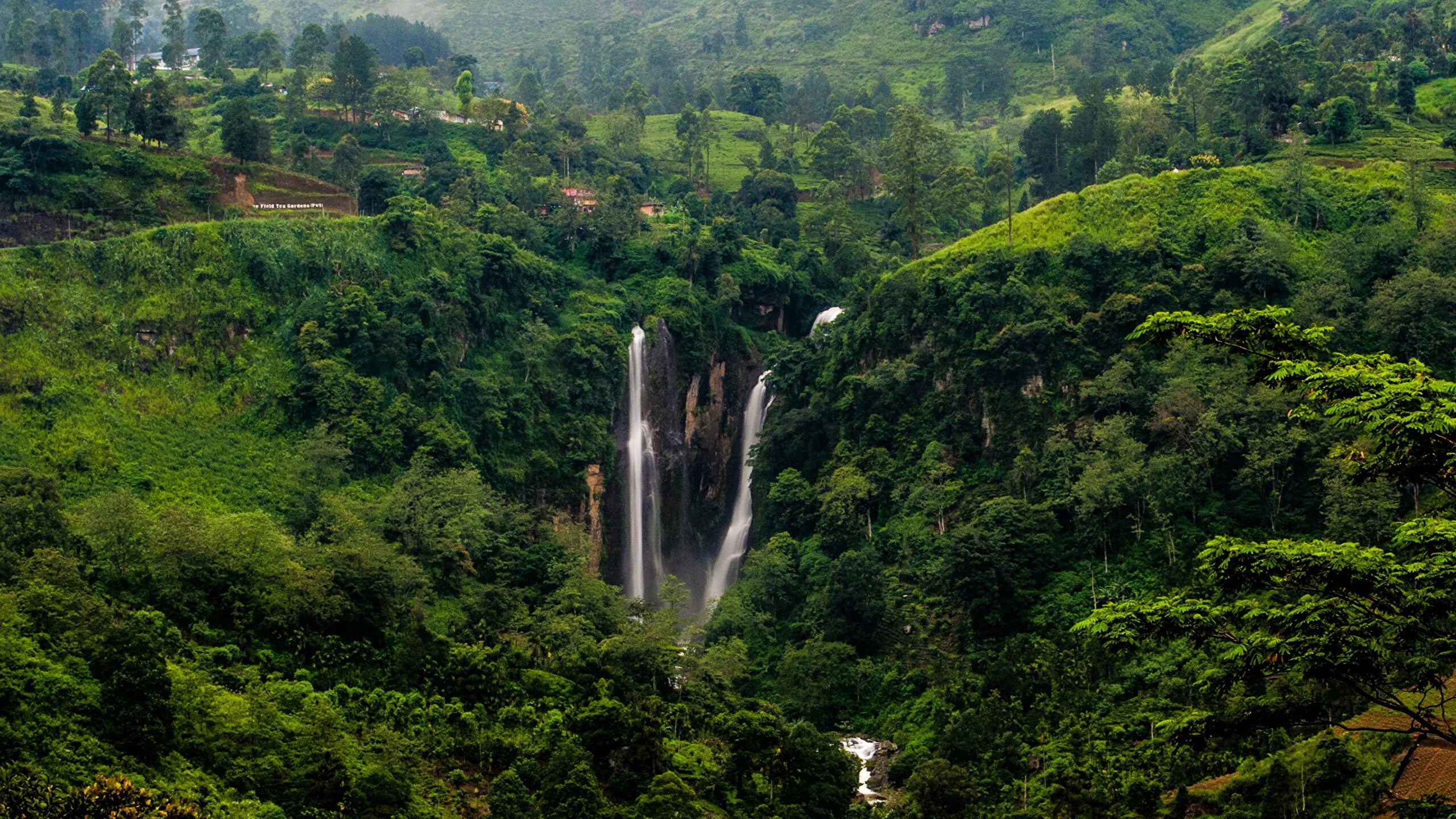 Нувара Элия водопады. Водопад Пуна Шри Ланка. Водопад Рамбода. Рамбода Шри Ланка. Джунгли шри ланки
