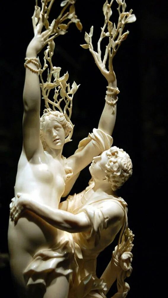 Apollo e