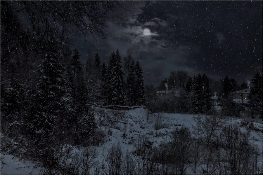 Темный холодный вечер. Мрачный пейзаж. Страшный зимний лес. Зимняя ночь. Лес снег ночь.