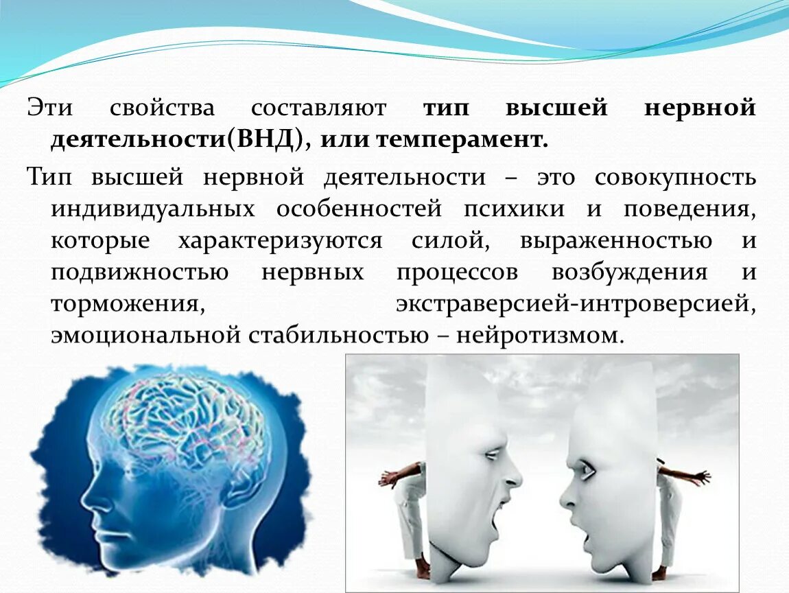 Типы высшей нервной деятельности ВНД. Особенности высшей нервной деятельности человека. Особенности ВНД человека. Индивидуальные особенности ВНД.