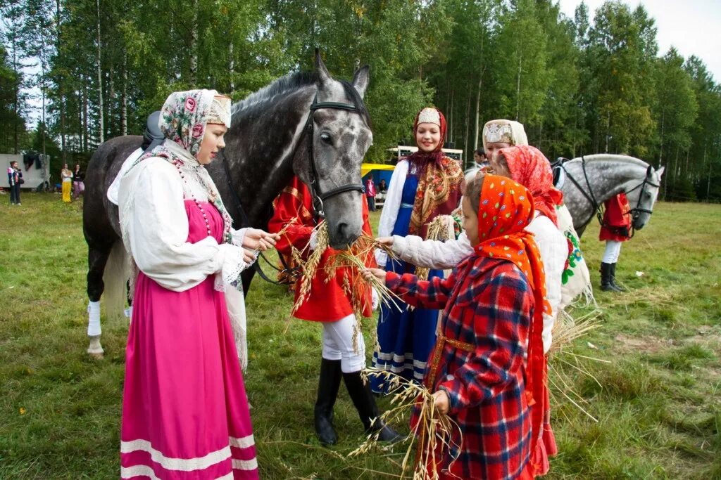 Праздник коня. Праздник с лошадьми. Праздник день лошади. 31 августа через