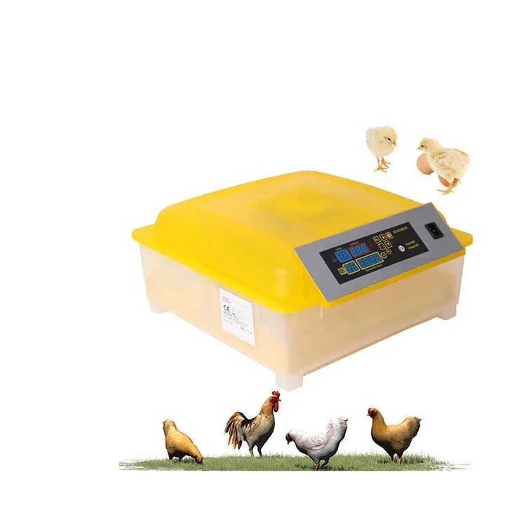 Инкубатор для домашней птицы. Инкубатор для домашней птицы учебный. Inkubator Broller ochish Sirlari.