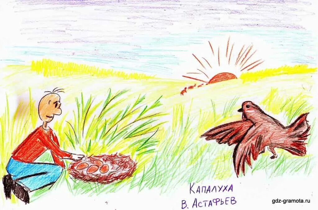 Иллюстрация к рассказу капалуха 3 класс. Иллюстрация к рассказу капалуха 3 класс. Иллюстрация к рассказу капалуха 3 класс. Иллюстрация к рассказу капалуха 3 класс. Капалуха 3.