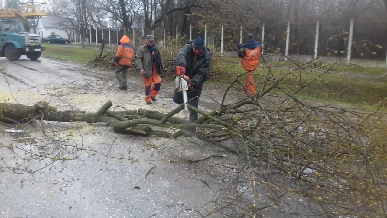 Пилить упавшие деревья