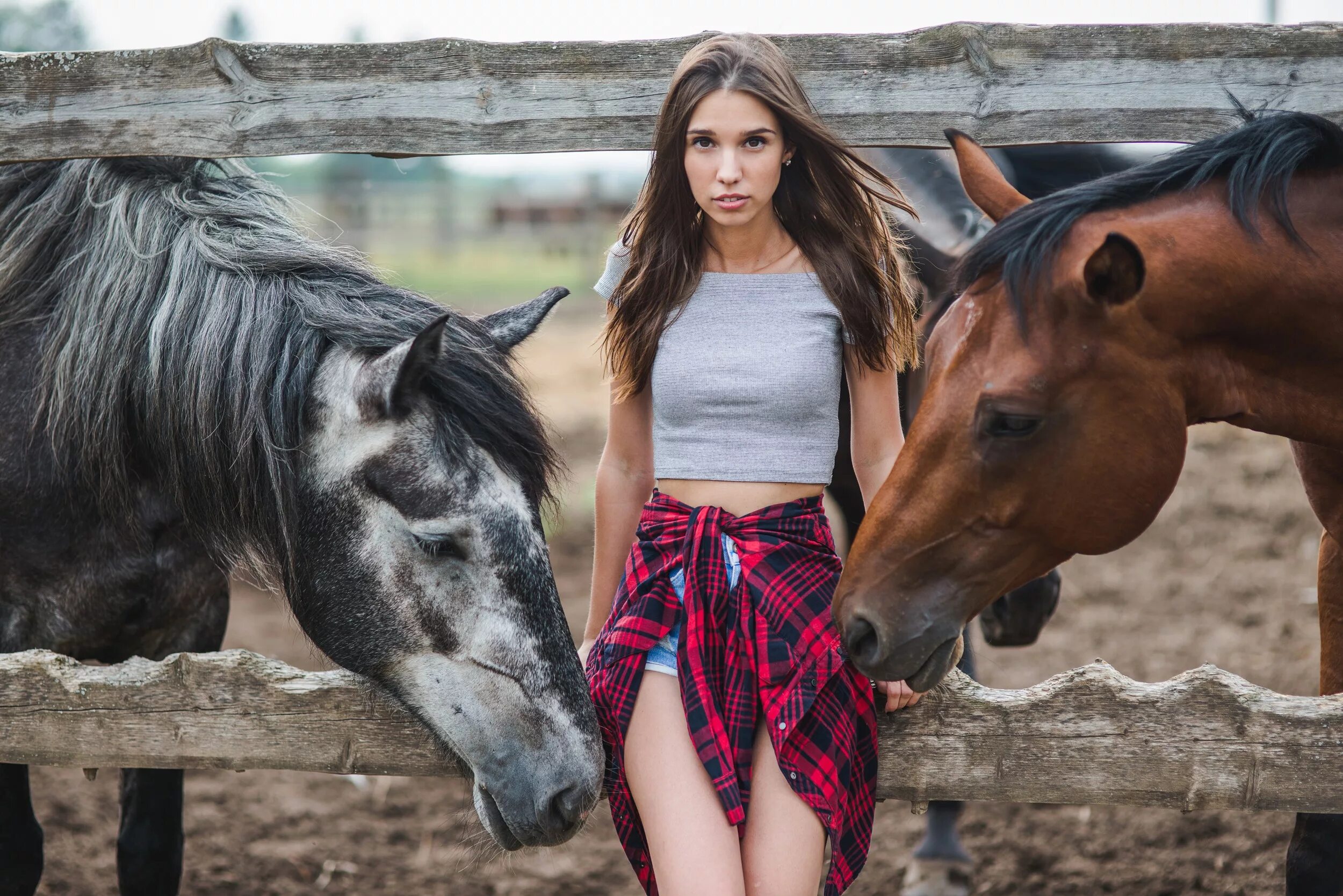 Саша Лазарева Блэк Хорс. Фотосессия с лошадьми. Красивая девушка на лошади. Девушка с лошадкой.