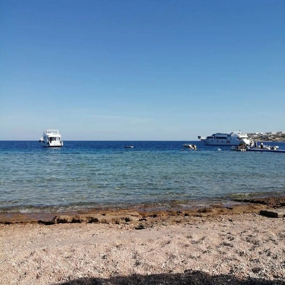 Шарм-эль-шейх подводный мир. Море в шарм эль шейхе в апреле. Причал шарм эль шейх для яхт. Море в шарм эль шейхе в апреле. Tamra beach hotel 4 шарм-эль-шейх.
