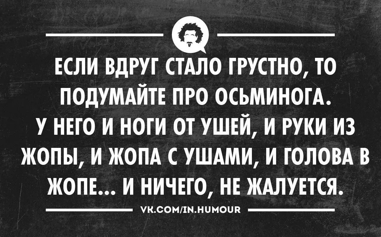 Тем кто грустит. Грустный прикол. Шутка про осьминога. Смешные цитаты. Афоризмы прикольные.