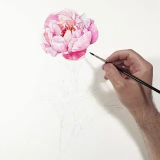 Цветы краской поэтапно