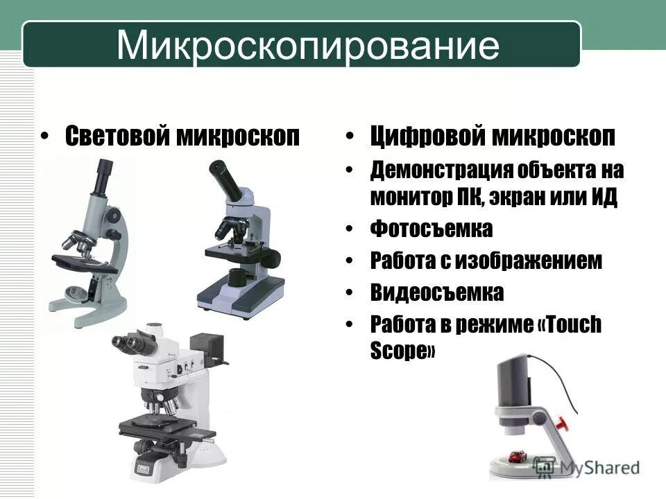 Чем цифровой микроскоп отличается от цветового. Микроскопирование. микроскоп и микроскопирование. техника микроскопирования. техника микроскопирования в световых микроскопах.