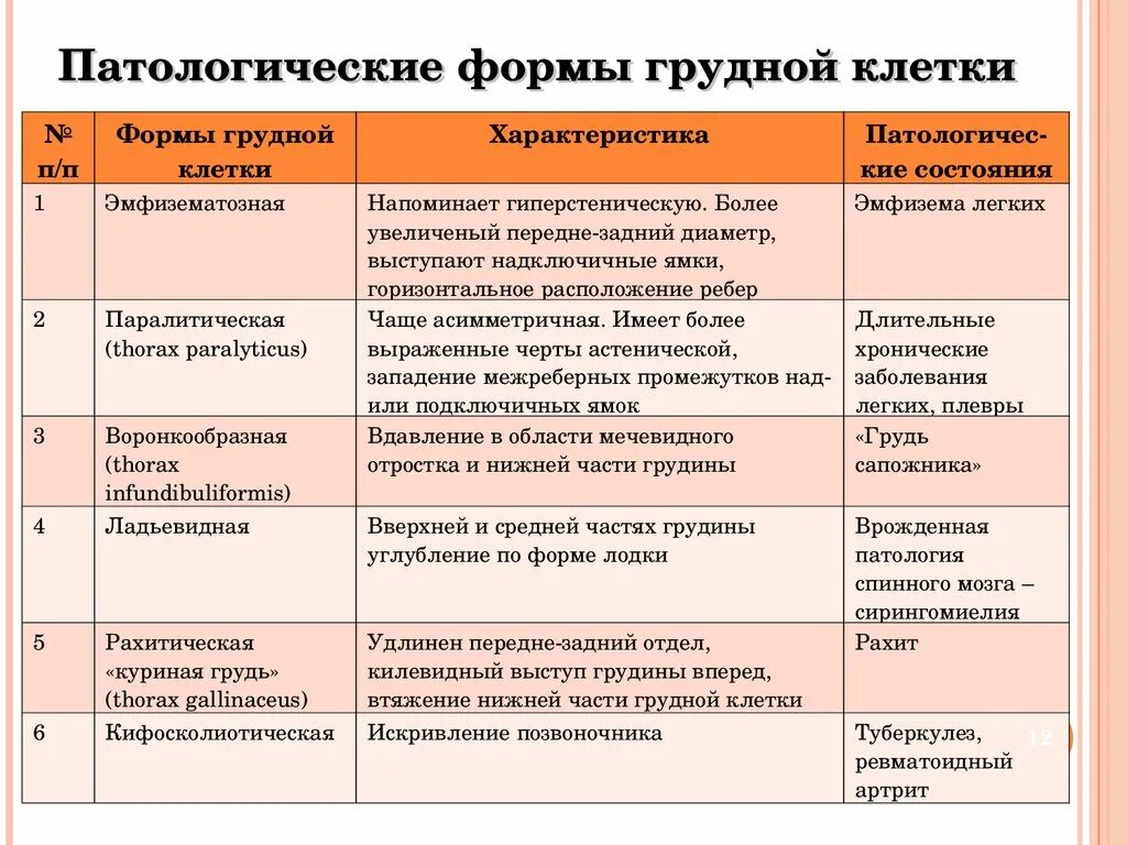 Патологические изменения грудной клетки. Перечислите формы грудной клетки и их основные характеристики.. Патологические формы грудной. Виды перкуторного звука. Формы изменения границ