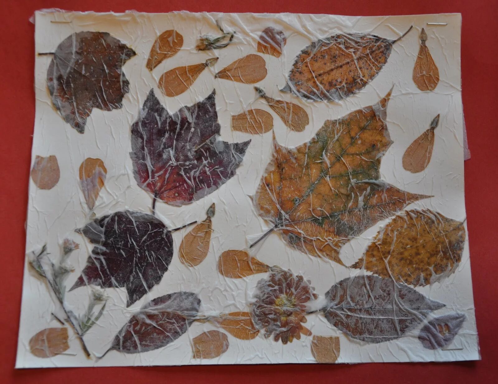 Панно из природного материала. Панно из листьев. Изготавливают коллаж из осенних листьев. Коллаж из листьев. Коллаж из листьев.