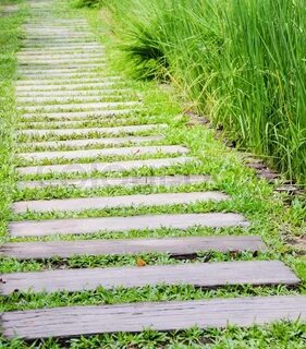 Path and go