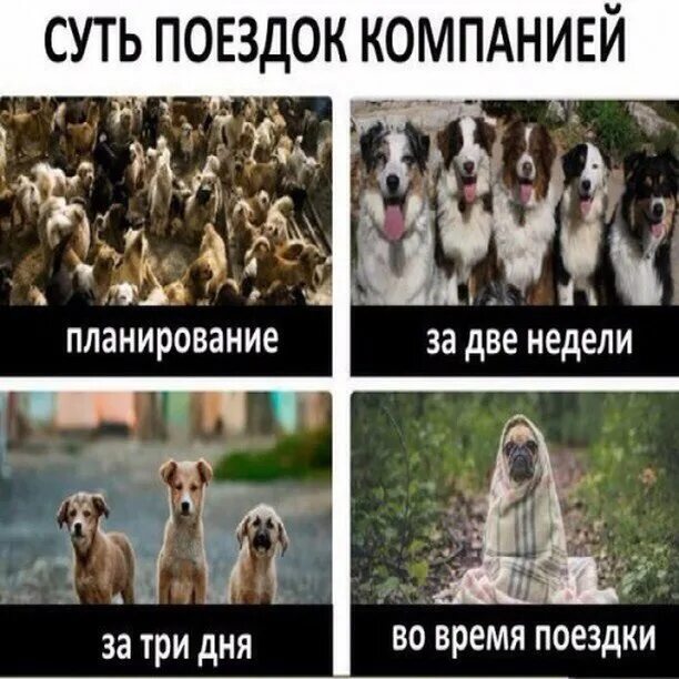 Когда можно будет собираться