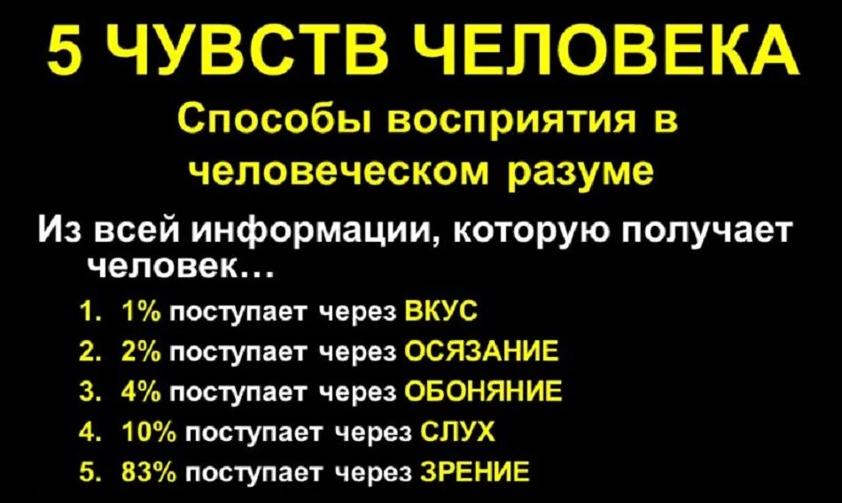 Сколько чувств есть у человека. Шесть чувств человека список. Пять чувств человека. Пять чувств человека список. Человеческие чувства список 5.