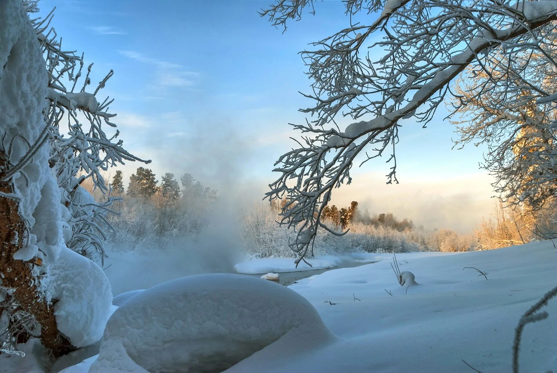 Зимний пейзаж. Деревья в снегу. Зимняя природа. Морозная зима. Cold and snowy