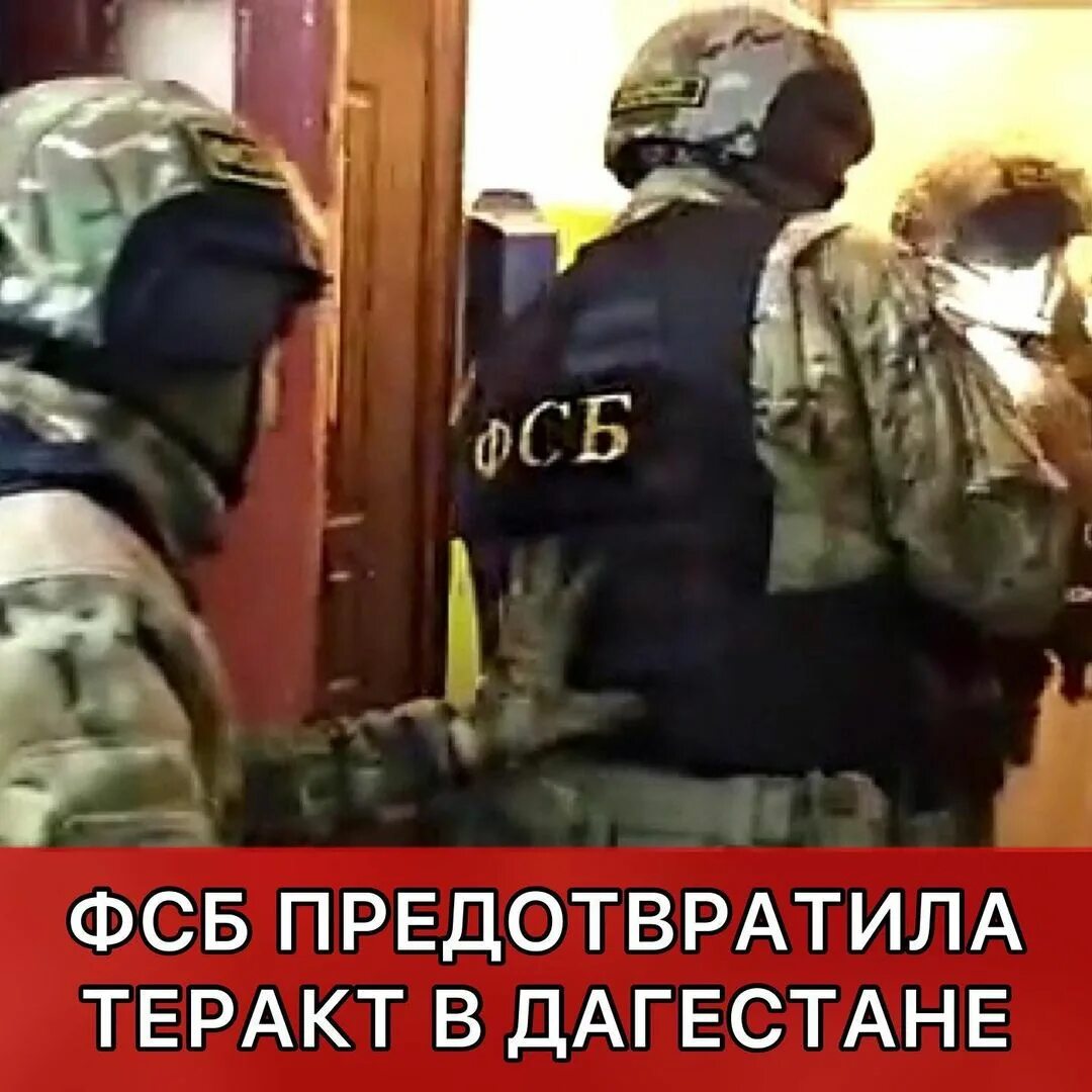 Распознал террориста по запаху