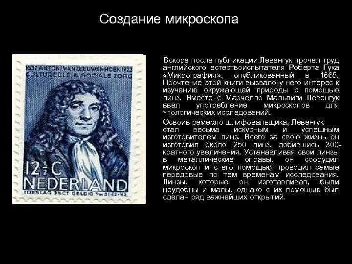 Ученые которые создали микроскоп. Левенгук вклад в зоологию. первые микроскопы в руках естествоиспытателей. ученые зоологи и их открытия. учёные которые внесли вклад в зоологию.