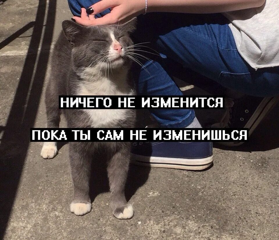 В этой жизни пока сам не возьмешься никто тебе подарков не сделает. Цитаты про нового человека. Без отца рос и в люди выбился. Знакомитесь афоризмы. Учить других учиться самому.